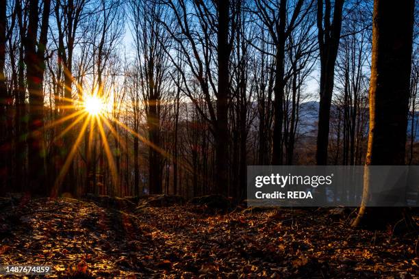 Lessinia Autumn Lessini Mountains Photos and Premium High Res Pictures - Getty Images
