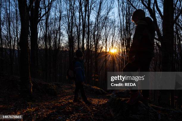 Lessinia Autumn 223 Lessinia Mountains Stock Photos, High-Res Pictures, and Images ...