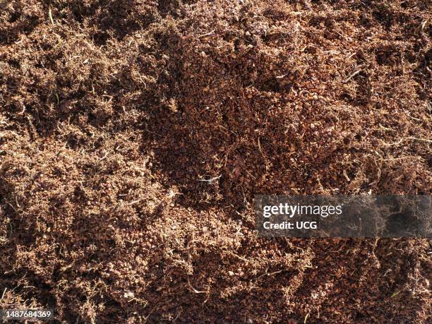 Grape Rgp Grape Pomace Photos and Premium High Res Pictures - Getty Images