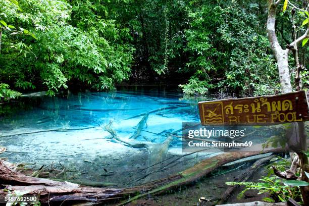 emerald pool, krabi, thailand - エメラルド ストックフォトと画像