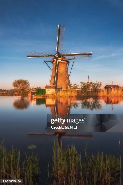 unesco werelderfgoed kinderdijk molens, ancient windmills at dusk in kinderdijk in netherlands - kinderdijk stock pictures, royalty-free photos & images