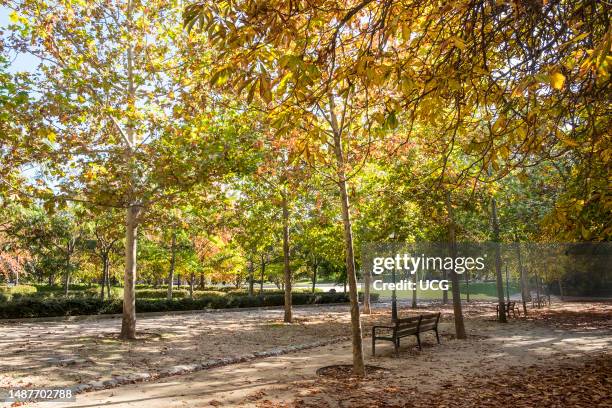 Spain, Madrid, Parque de El Retiro, Jardines del Buen Retiro.