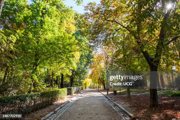 Spain, Madrid, Parque de El Retiro, Jardines del Buen Retiro.