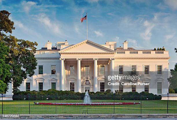 the white house - washington dc stockfoto's en -beelden