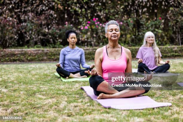 senior women taking a yoga class in beautiful garden - senior adult yoga stock pictures, royalty-free photos & images