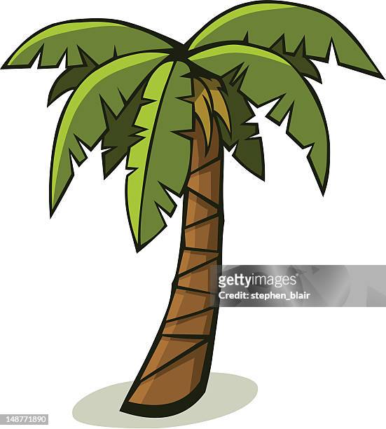 1,694 Palm Tree Cartoon High Res Illustrations - Getty Images