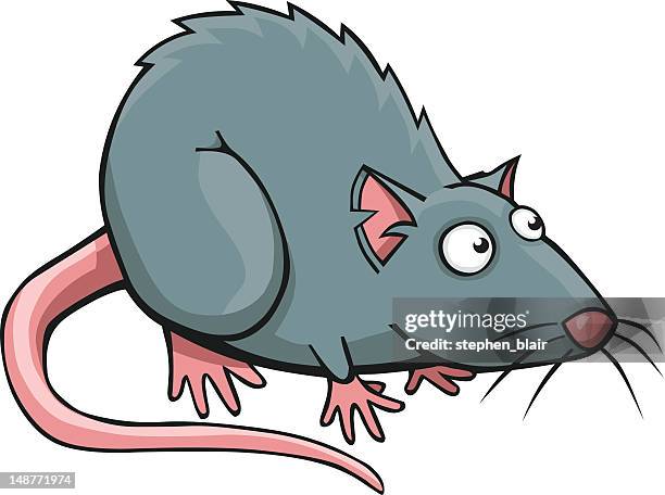 Ilustraciones de Rata - Getty Images Ilustraciones de Rata - Getty Images