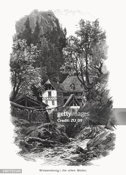 weissenburg spa, därstetten, schweiz, holzstich, erschienen 1877 - gebirgsbach stock-grafiken, -clipart, -cartoons und -symbole