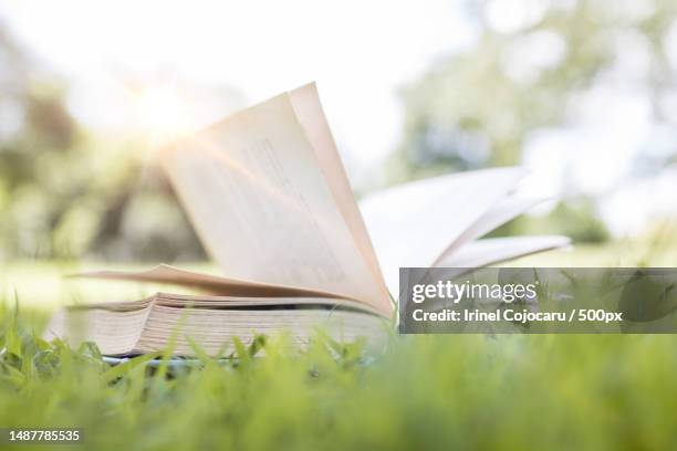 book on green grass,learning and knowledge concept,romania - open romania stock pictures, royalty-free photos & images