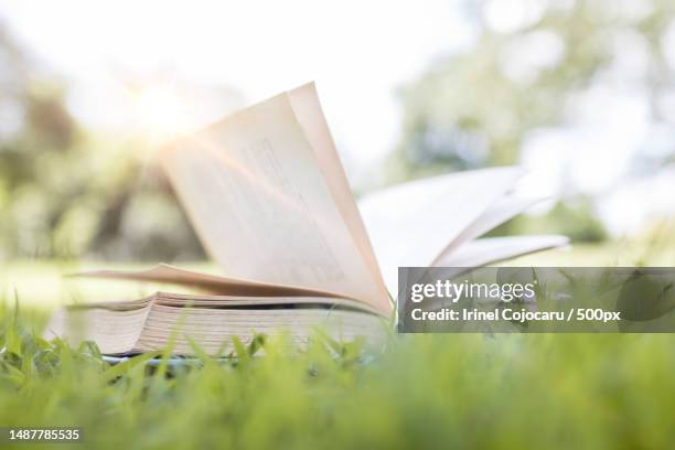 book on green grass,learning and knowledge concept,romania - open romania imagens e fotografias de stock