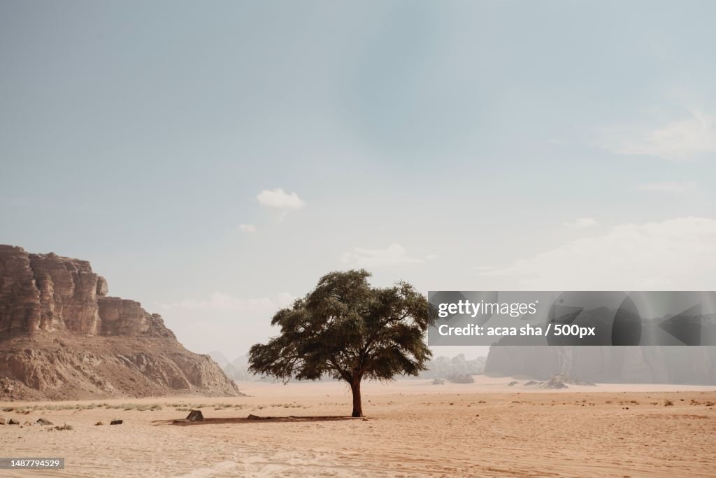 Trees on field against sky,Clay County,Indiana,United States,USA