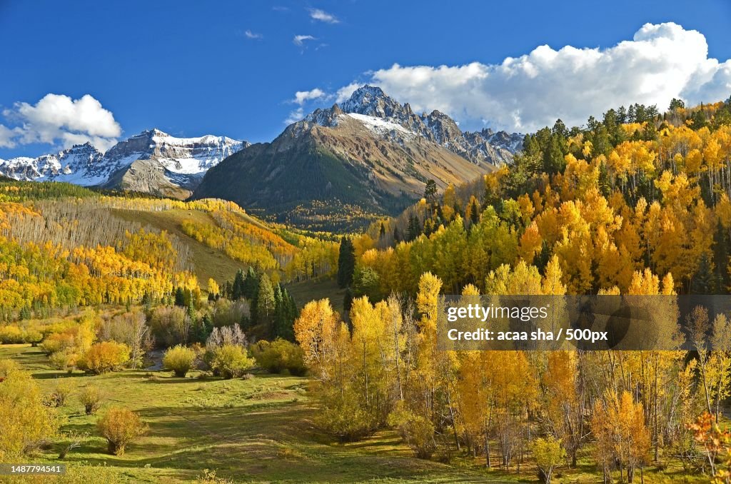 Scenic view of trees against sky during autumn