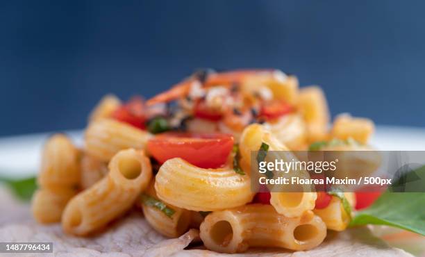 stir-fry macaroni on top pork roughly in a white plate,romania - macaroni and cheese stockfoto's en -beelden