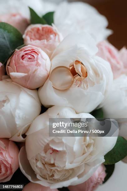 gold wedding rings as an attribute,romania - annual plant attribute stock pictures, royalty-free photos & images