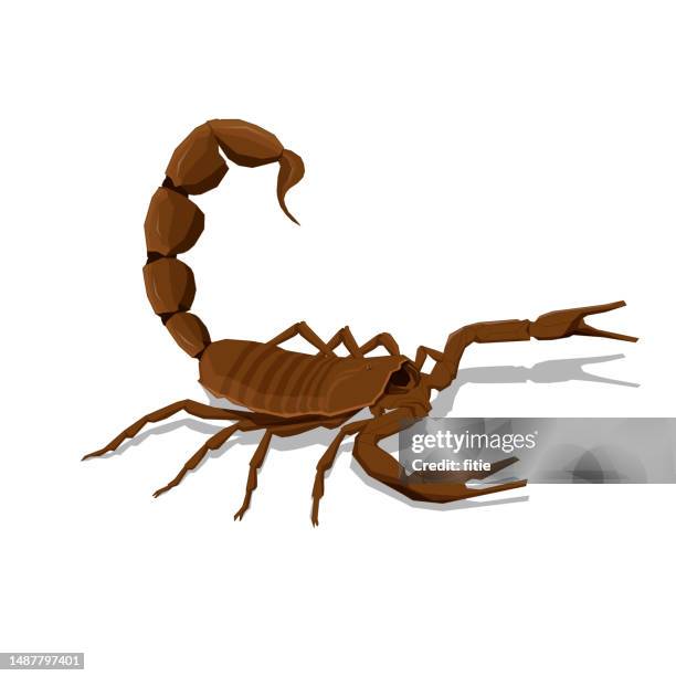 illustration eines braunen skorpions auf weißem hintergrund. - skorpion stock-grafiken, -clipart, -cartoons und -symbole