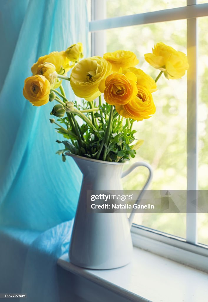 Yellow Ranunculus