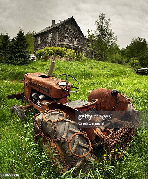 rusting - timothy grass imagens e fotografias de stock