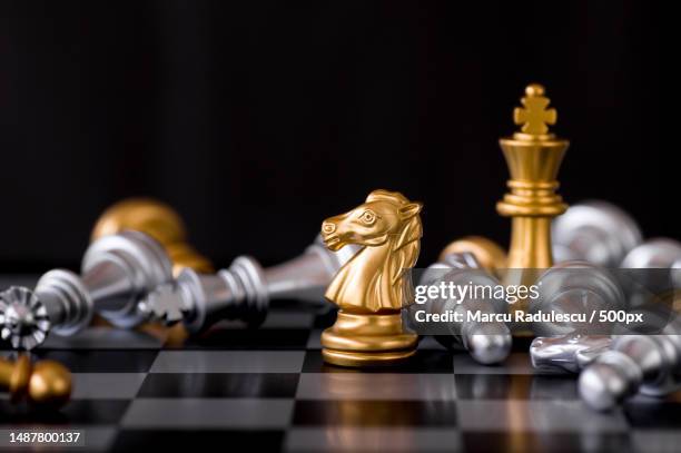 horse chess set and win with enemy background,romania - chess pieces stock pictures, royalty-free photos & images