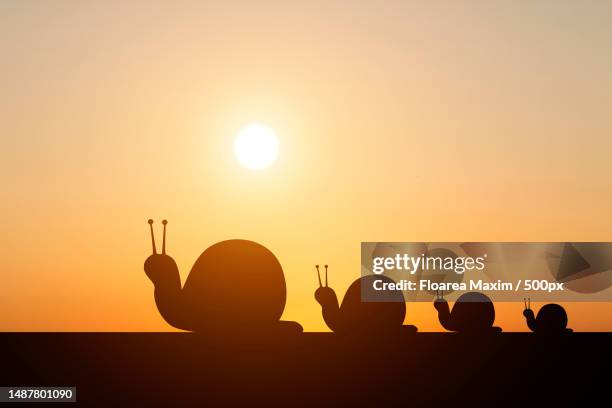 silhouette of woman gesturing against sky during sunset,romania - cartoon snail stock pictures, royalty-free photos & images