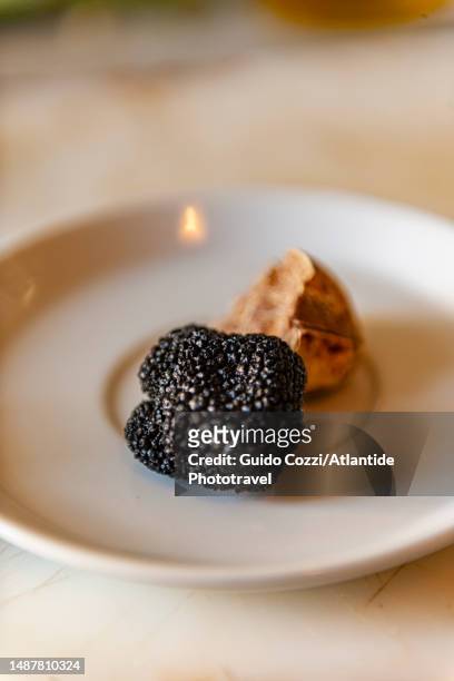 tuscany, black truffles - san miniato stock-fotos und bilder