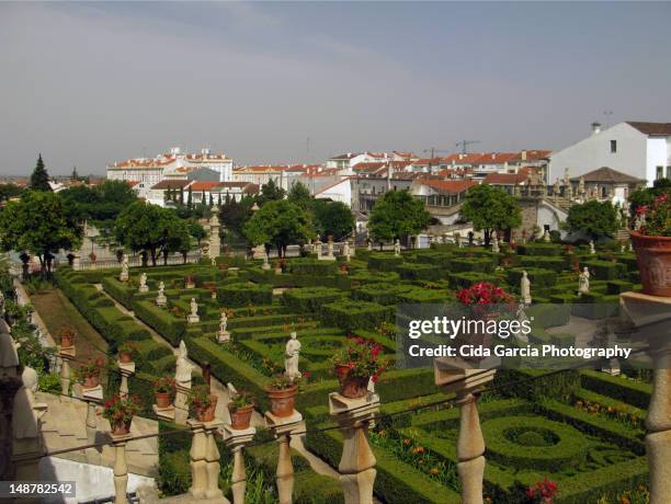 garden of bishop's palace - castelo branco district portugal stockfoto's en -beelden