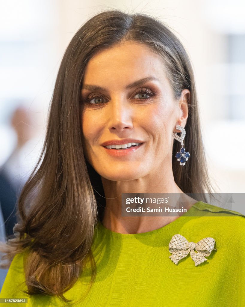 Queen Letizia of Spains attends the Coronation Reception For Overseas ...