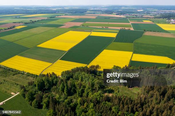 bosque y campos en primavera desde arriba - canola fotografías e imágenes de stock