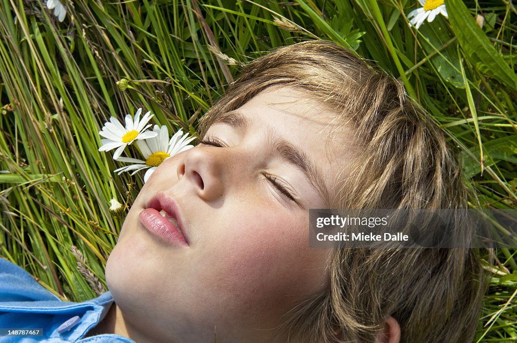 Boy resting in a field with daisies