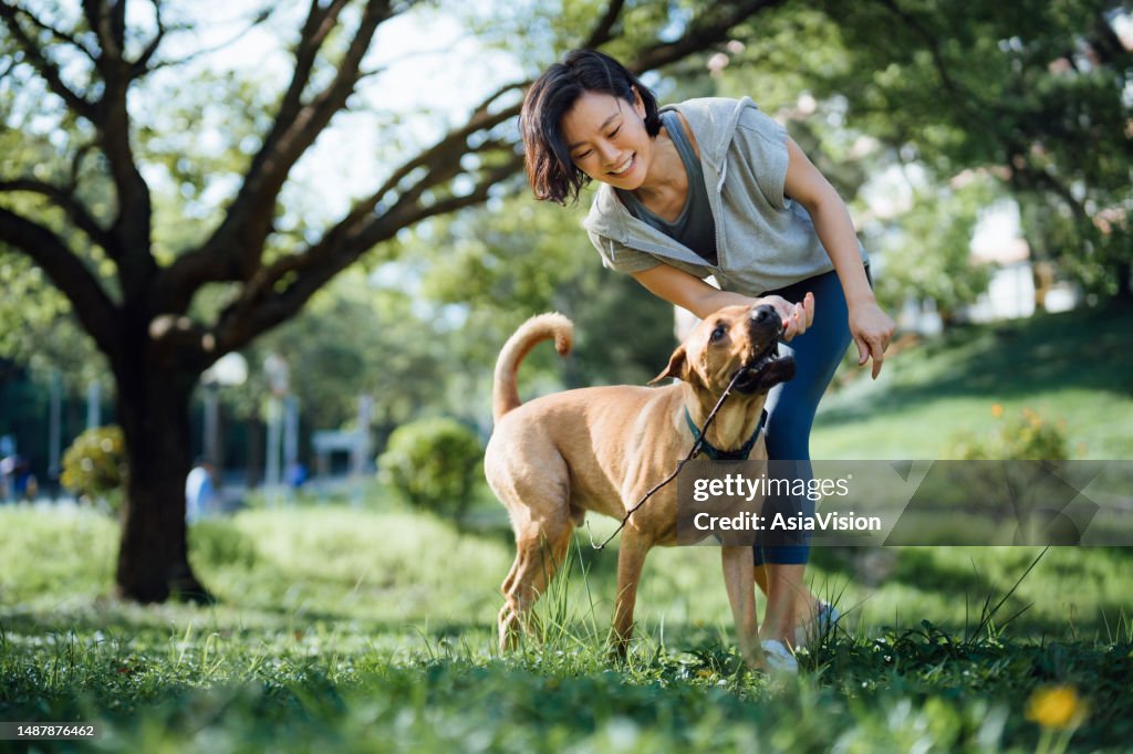 Fröhliche junge asiatische Frau, die mit ihrem Hund spielt und mit einem Stock im Park spielt. Verbringen Sie einen Moment und eine lustige Zeit mit ihrem Hund. Leben mit einem Haustier. Gehorsam und Training