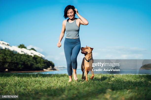 una joven asiática feliz y su perro corriendo por la playa contra el cielo azul claro, jugando y disfrutando del tiempo juntos en la naturaleza al aire libre. vivir con un perro. amor y vinculación con la mascota - dog walking fotografías e imágenes de stock