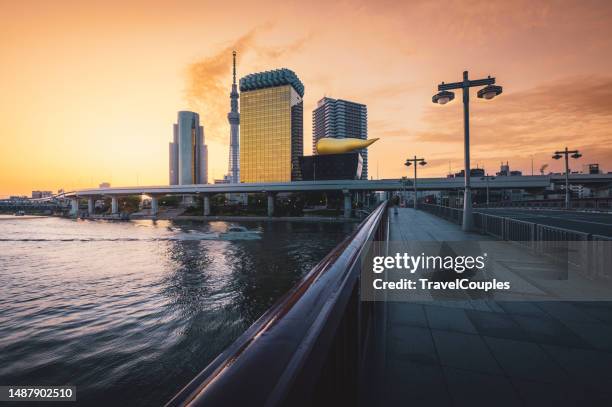 skyline building and tokyo skytree tower. famous landmark near sumida river. view from asakusa district in tokyo, japan - gold boot stockfoto's en -beelden