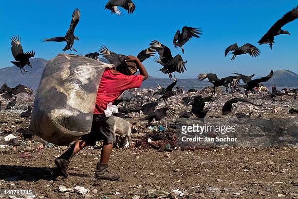 Nicaraguan boy carries a large bag of trash for recycling while fighting with flying vultures in the garbage dump La Chureca, on 10 November 2004 in...