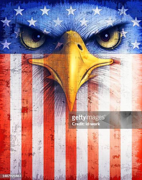 bildbanksillustrationer, clip art samt tecknat material och ikoner med bald eagle with usa flag - american flag eagle