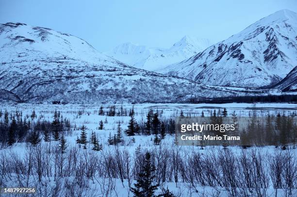 View of a boreal forest trees in front of Alaska Range mountains during the snowmelt season on May 5, 2023 near Delta Junction, Alaska. The NASA...