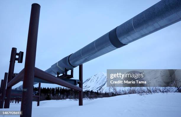 Part of the Trans Alaska Pipeline System runs past Alaska Range mountains on May 5, 2023 near Delta Junction, Alaska. The 800-mile-long pipeline...