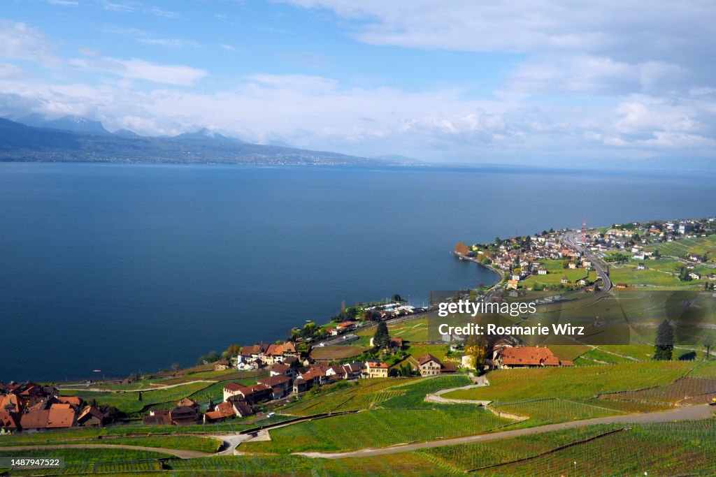 Lake Geneva with coastal line of Cully