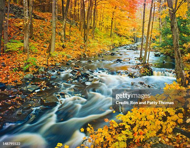 autumn in vermont - green mountain range stock pictures, royalty-free photos & images