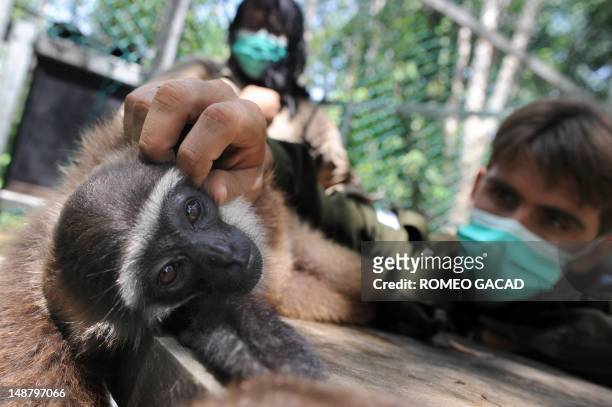 To go with AFP story Indonesia-France-environment-animal,FEATURE by Loic Vennin This photograph taken on June 6, 2012 shows French environmentalist...
