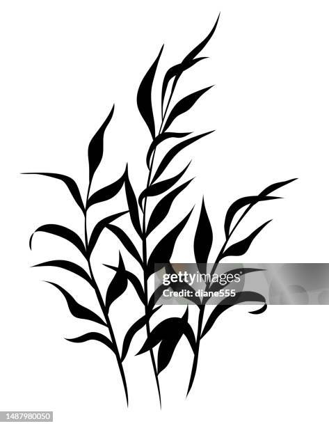 marsh weeds on a transparent background - swamp stock illustrations