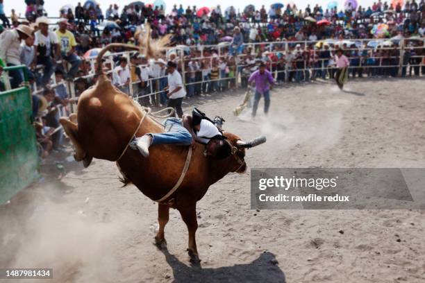 454 Mexican Bull Riding Stock Photos, High-Res Pictures, and Images ...