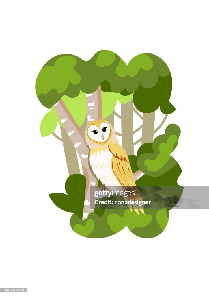The owl in the forest