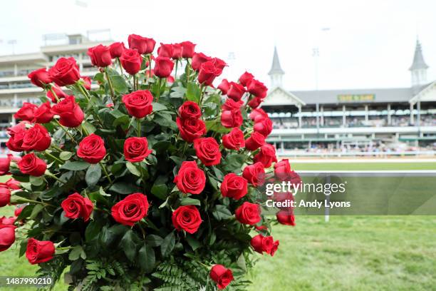 Knetucky Roses 275 Kentucky Derby Roses Stock Photos, High-Res Pictures, and Images ...