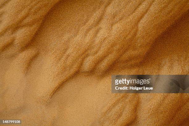 detail of sand in wahiba sands desert. - sabbia foto e immagini stock