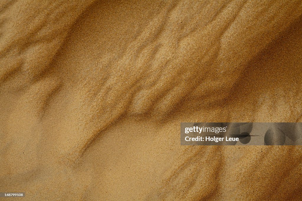 Detail of sand in Wahiba Sands desert.