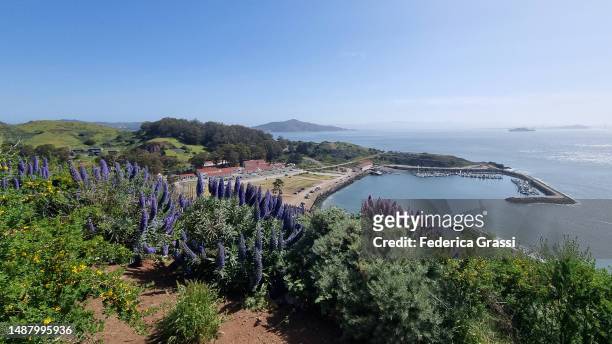 horseshoe bay seen from golden gate bridge vista point - port botany stock pictures, royalty-free photos & images