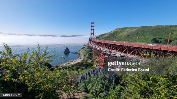 san francisco skyline with fog rising from the bay and the golden gate bridge - golden gate park stockfoto's en -beelden