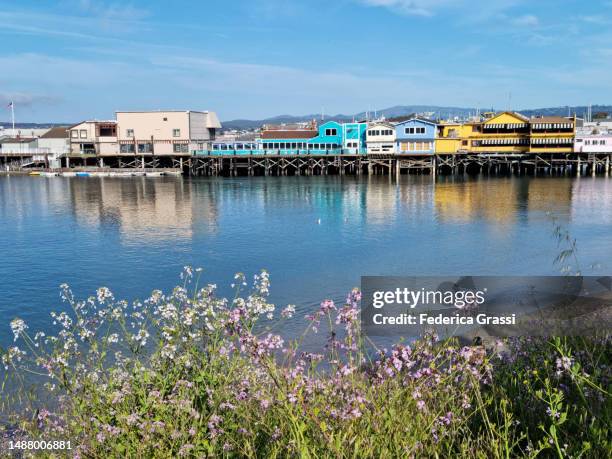 monterey fishermans wharf, california - monterey peninsula stock pictures, royalty-free photos & images
