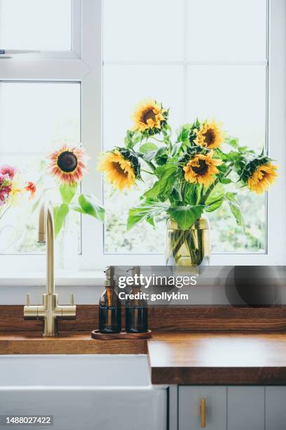 sunflowers in vase in a modern kitchen - ledge stock pictures, royalty-free photos & images