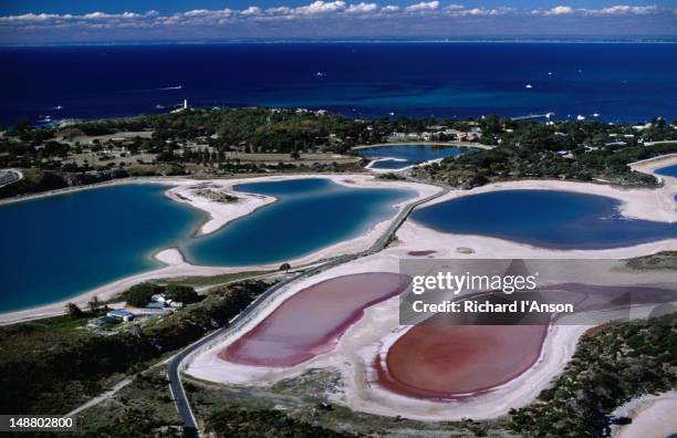 beautiful waters of rottnest island, this sandy island is only 11 kilometres long, 4.5 kilometres wide and only 19 kilometres off the coast of fremantle - rottnest island stock pictures, royalty-free photos & images