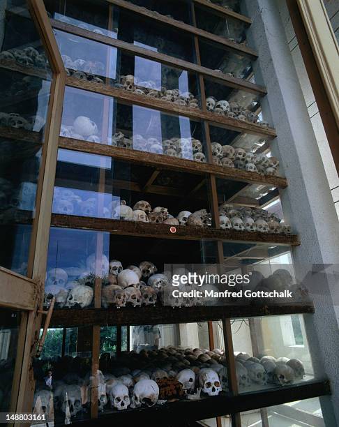 shelves of human skulls at choeun ek serve as a grim reminder of the brutal genocide during the pol pot/khmer rouge regime. - cambodia genocide stock pictures, royalty-free photos & images